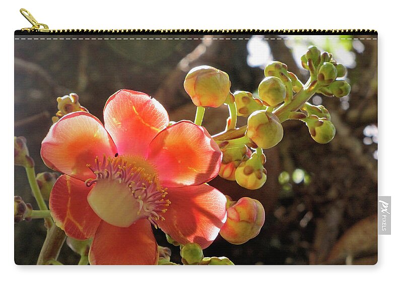 Flower Zip Pouch featuring the photograph Sparkle by David Bader