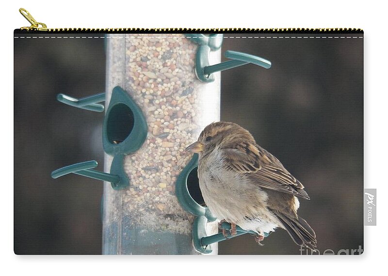 Bird Zip Pouch featuring the photograph Sparrow and Seed by Corinne Elizabeth Cowherd