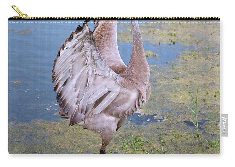 Beautiful Wings Zip Pouch featuring the photograph Spectacular Wings by Carol Groenen