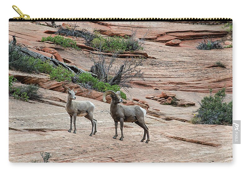 Zion Zip Pouch featuring the photograph Spectators by Jim Cook