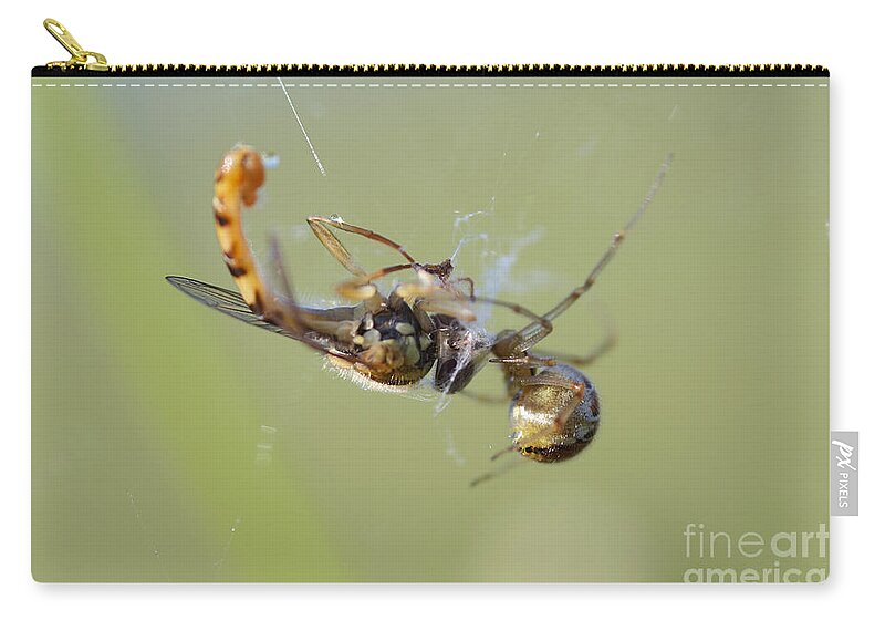 Closeup Zip Pouch featuring the photograph Spider and its prey by Michal Boubin