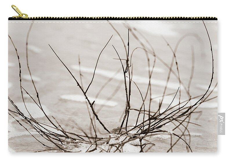 Beach Zip Pouch featuring the photograph Spider Driftwood by Chris Bordeleau