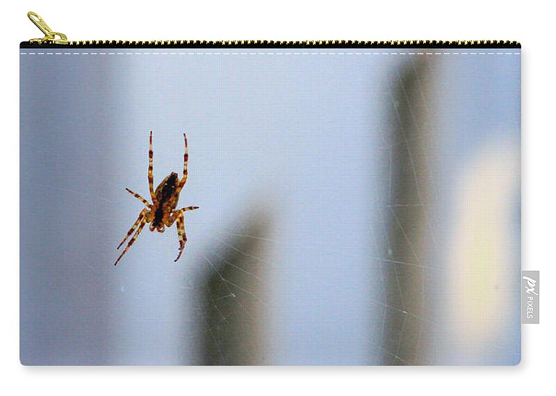 Bonnie Follett Carry-all Pouch featuring the photograph Spider Hello Panorama by Bonnie Follett