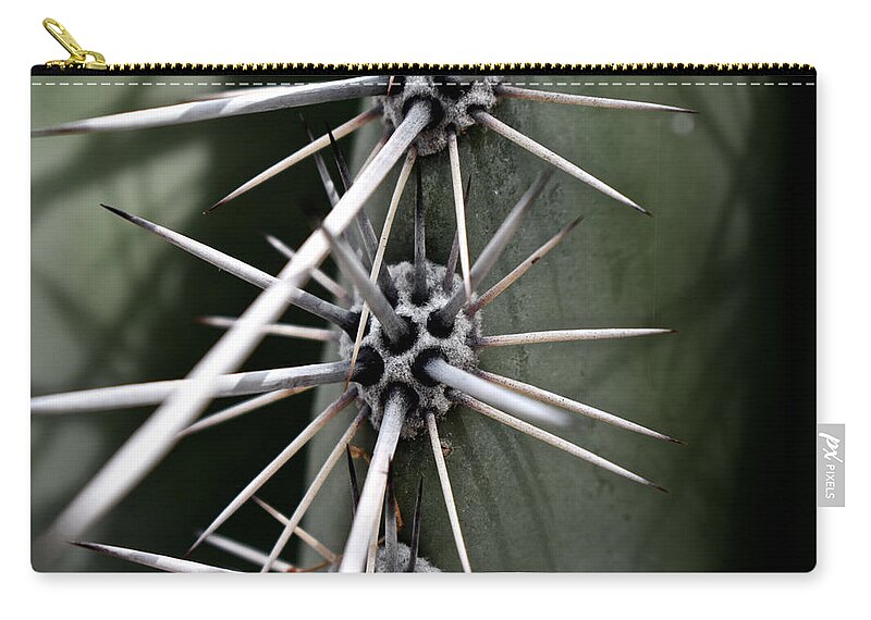 Spines Zip Pouch featuring the photograph Spines by Melisa Elliott