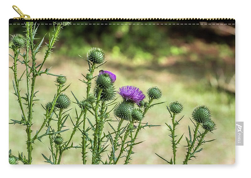 Bull Thistle Zip Pouch featuring the photograph Spiny Bull Thistle Wildflowers by Kathy Clark