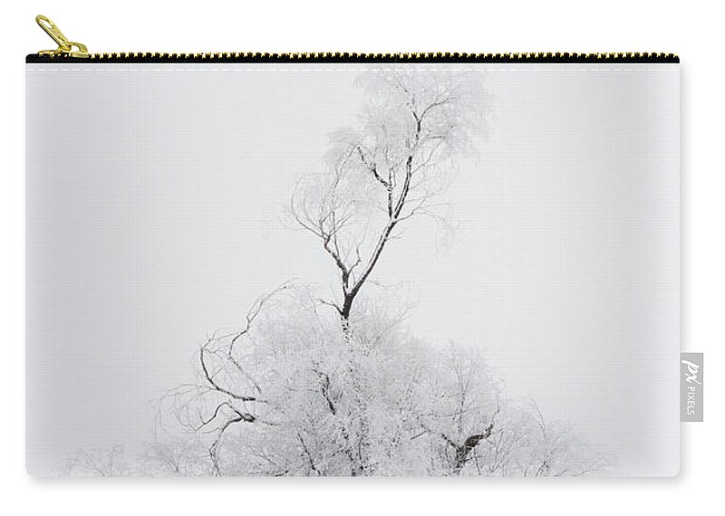 Utah Zip Pouch featuring the photograph Spirit Tree by Dustin LeFevre