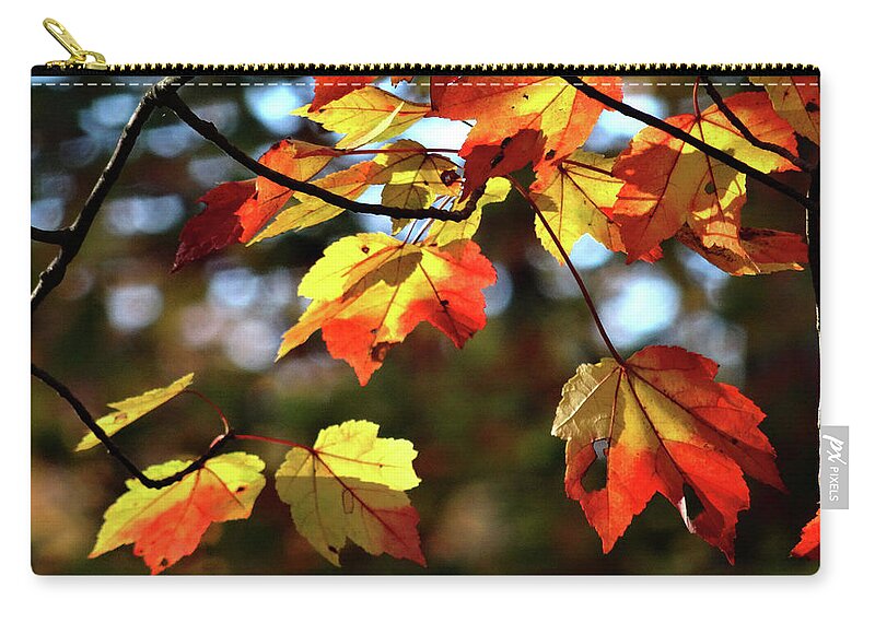 Autumn Zip Pouch featuring the photograph Splash of color by Mikki Cucuzzo