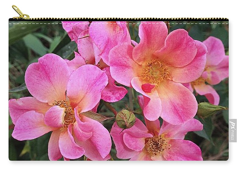 Pink Zip Pouch featuring the photograph Splash of Pink by Annie Walczyk