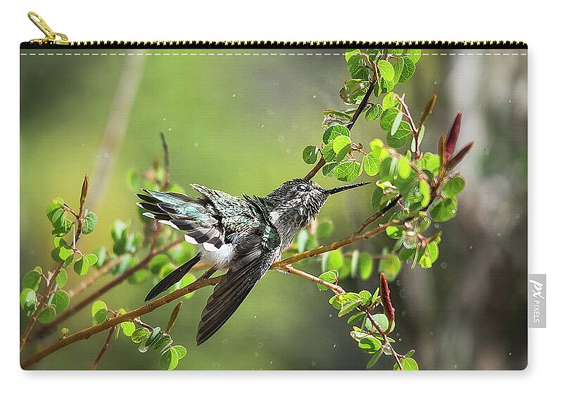 Hummingbird Zip Pouch featuring the photograph Splish Splash Hummingbird by Saija Lehtonen