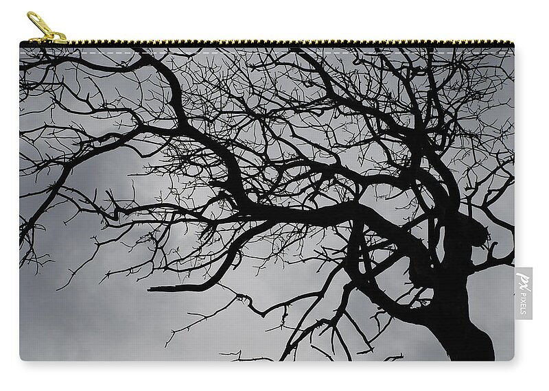 Tree Zip Pouch featuring the photograph Spooky Tree by Carol Eliassen