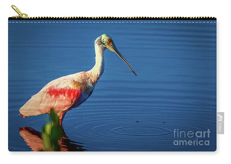 Spoonbill Zip Pouch featuring the photograph Spoonbill Dribble by Tom Claud