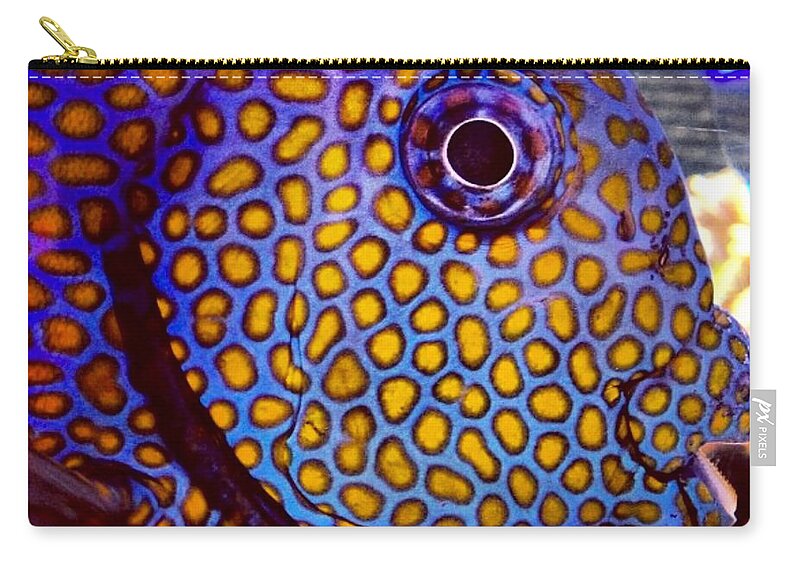 Fish Zip Pouch featuring the photograph Spots Galore by Denise Railey