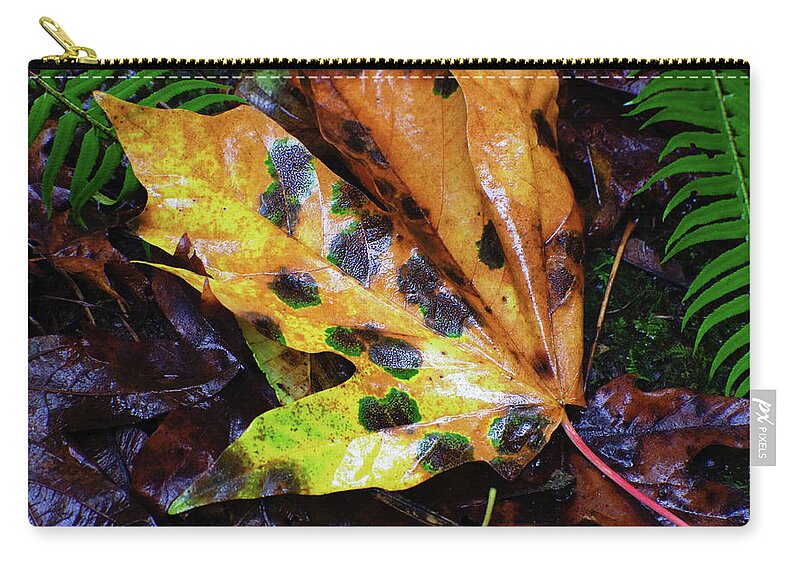 Adria Trail Zip Pouch featuring the photograph Spotted Leaf by Adria Trail