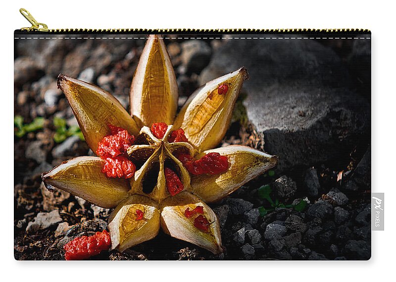 Nature Zip Pouch featuring the photograph Spread Thy Seed by Christopher Holmes