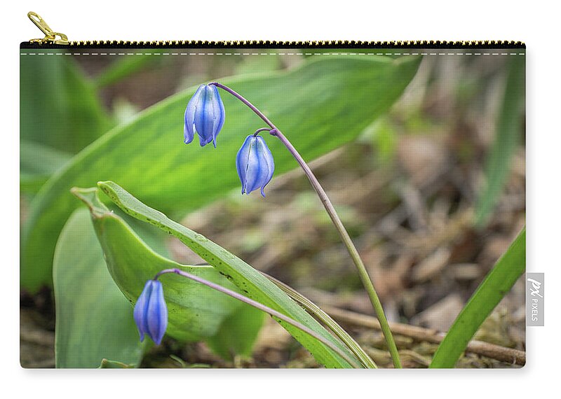 Blue Zip Pouch featuring the photograph Sprig of Spring Beauty by Bill Pevlor
