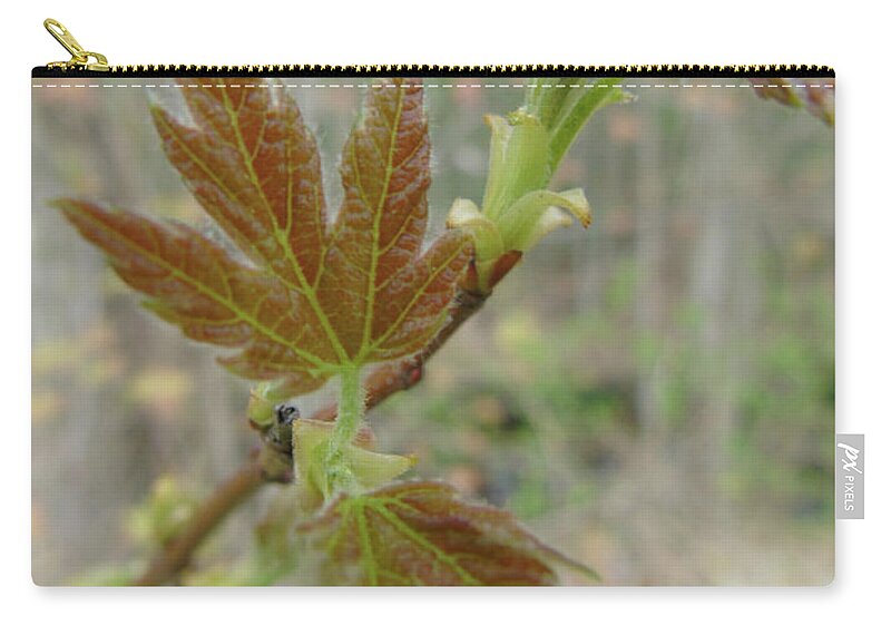 Close-up Zip Pouch featuring the photograph Spring-A New Beginning by Susan Lafleur