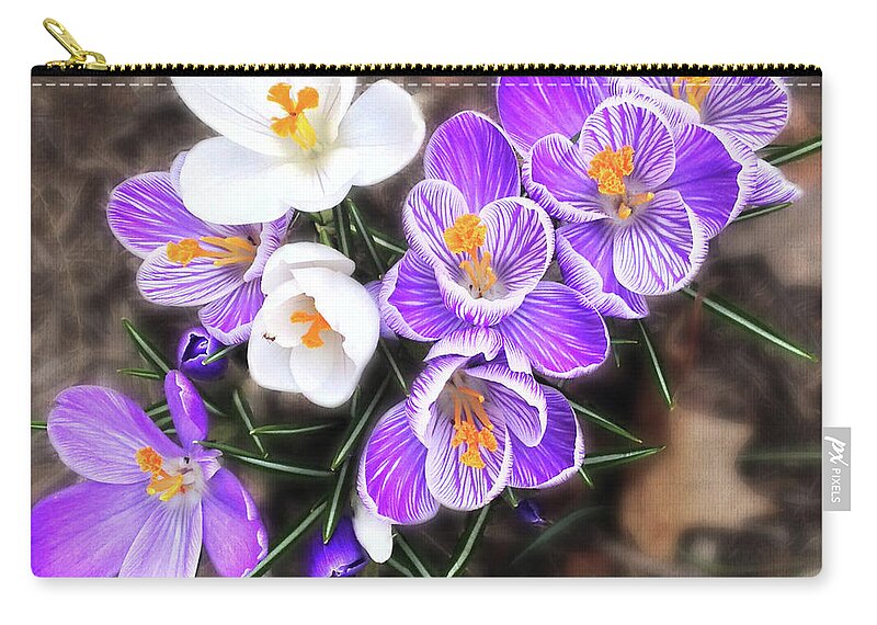 Crocus Zip Pouch featuring the photograph Spring Beauties by Terri Harper