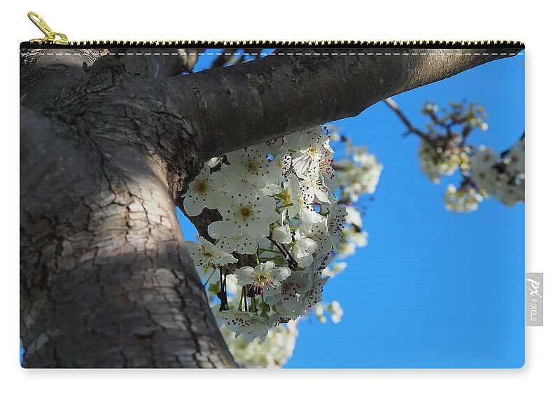 Botanical Zip Pouch featuring the photograph Spring Bloom by Richard Thomas