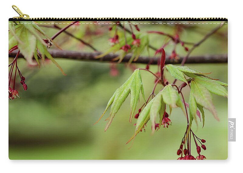 Spring Carry-all Pouch featuring the photograph Spring Blossoms by Holly Ross