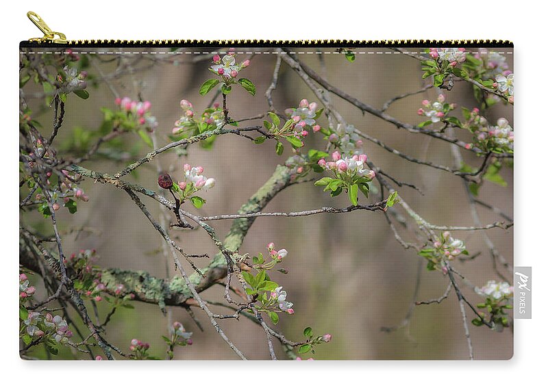 300 Mm F/4 Is Usm Zip Pouch featuring the photograph Spring Blossoms 2 by Mark Mille