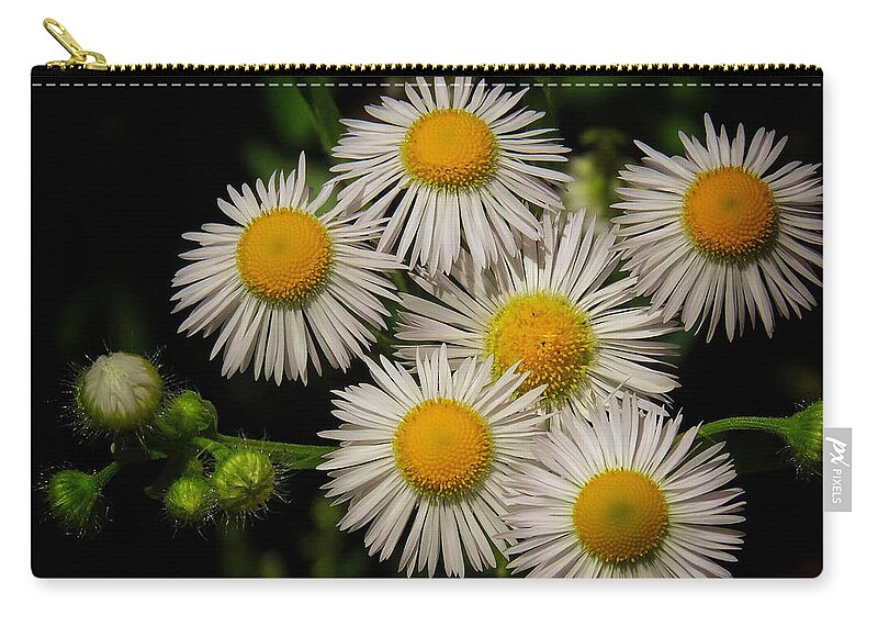 Spring Zip Pouch featuring the photograph Spring Delights II by Kathi Isserman