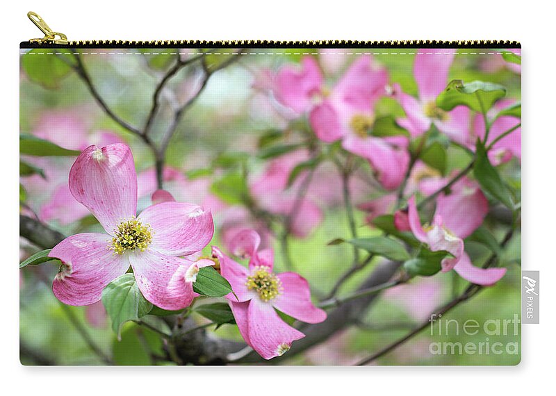 Pink Zip Pouch featuring the photograph Spring Dogwood - D010378 by Daniel Dempster