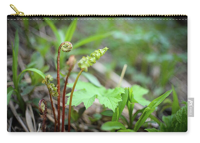 Alex Blondeau Zip Pouch featuring the photograph Spring Ferns by Alex Blondeau