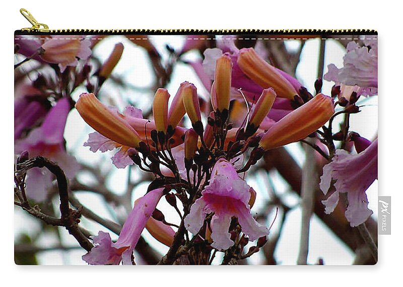 Photography Zip Pouch featuring the photograph Spring Flowers by Christopher Mercer