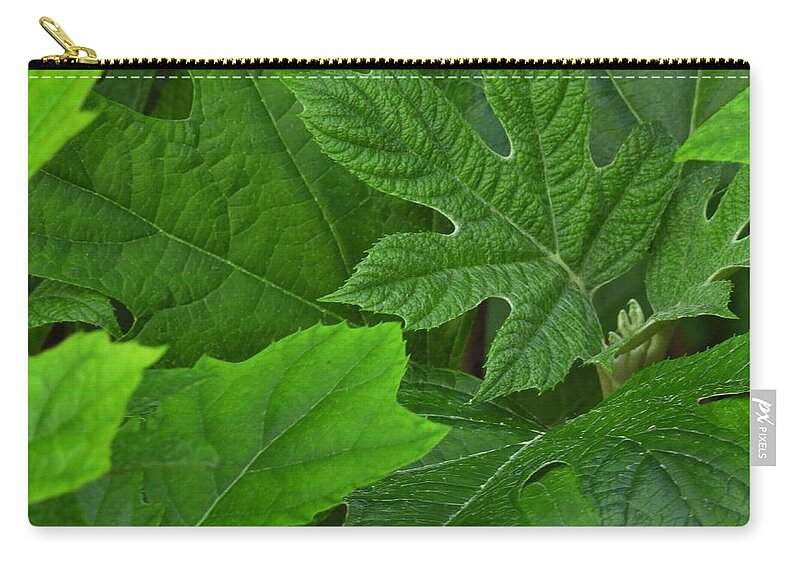 Leaf Zip Pouch featuring the photograph Spring Greens by Jan Gelders