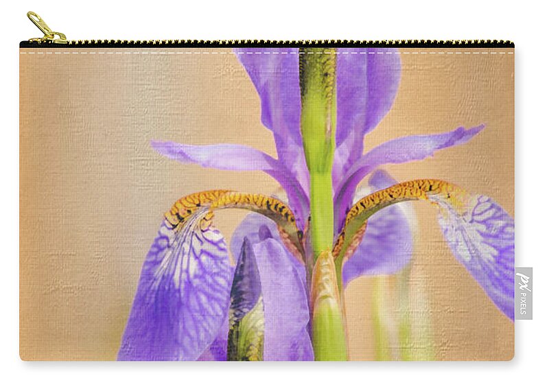Spring Irises 2 Zip Pouch featuring the photograph Spring Irises 2 by Debra Martz