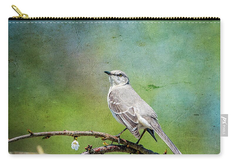 Bird Zip Pouch featuring the photograph Spring Mockingbird by Cathy Kovarik