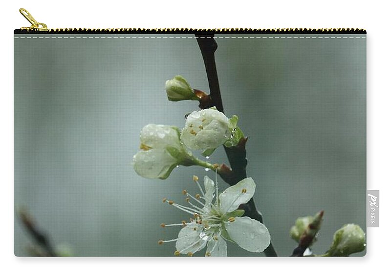 Spring Zip Pouch featuring the photograph Spring Rain Mood by I'ina Van Lawick