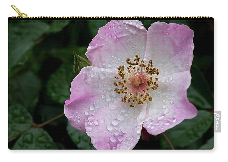 Flowers Zip Pouch featuring the photograph Spring Rain by Steven Clark
