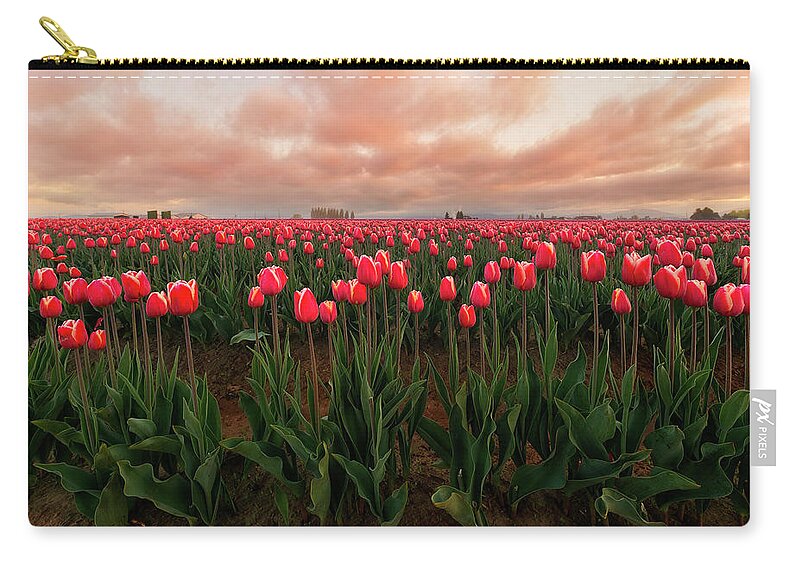 Tulips Zip Pouch featuring the photograph Spring Rainbow by Ryan Manuel