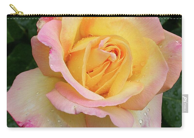 Rose Zip Pouch featuring the photograph Spring Rose by Quin Sweetman