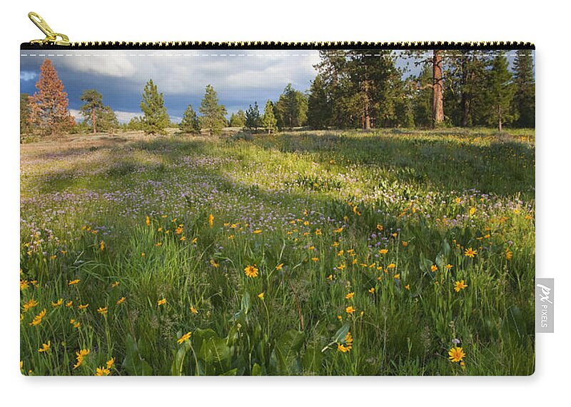 Meadow Zip Pouch featuring the photograph Spring Shadows by Michael Dawson