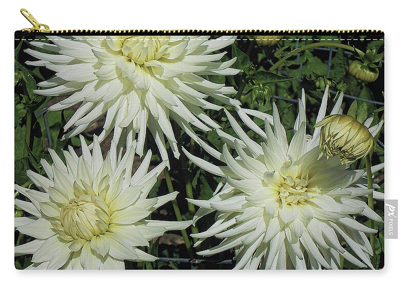 Flower Carry-all Pouch featuring the photograph Spring Splendor by Joyce Creswell