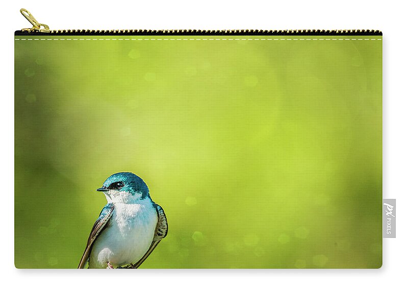 Tree Swallow Carry-all Pouch featuring the photograph Spring Swallow by Cathy Kovarik