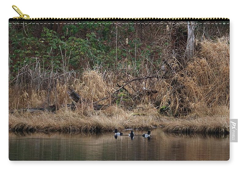 Ring-necked Ducks Zip Pouch featuring the photograph Spring Team by I'ina Van Lawick