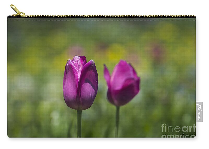 Tulip Zip Pouch featuring the photograph Spring Tulips by Andrea Silies
