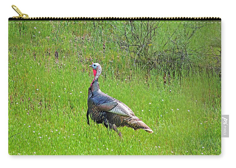 Turkey Zip Pouch featuring the photograph Spring Turkey Gobbler by L J Oakes