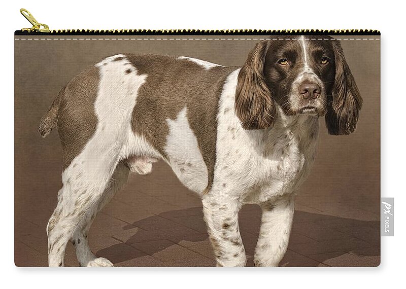 Dog Zip Pouch featuring the photograph Springer Spaniel by Linsey Williams