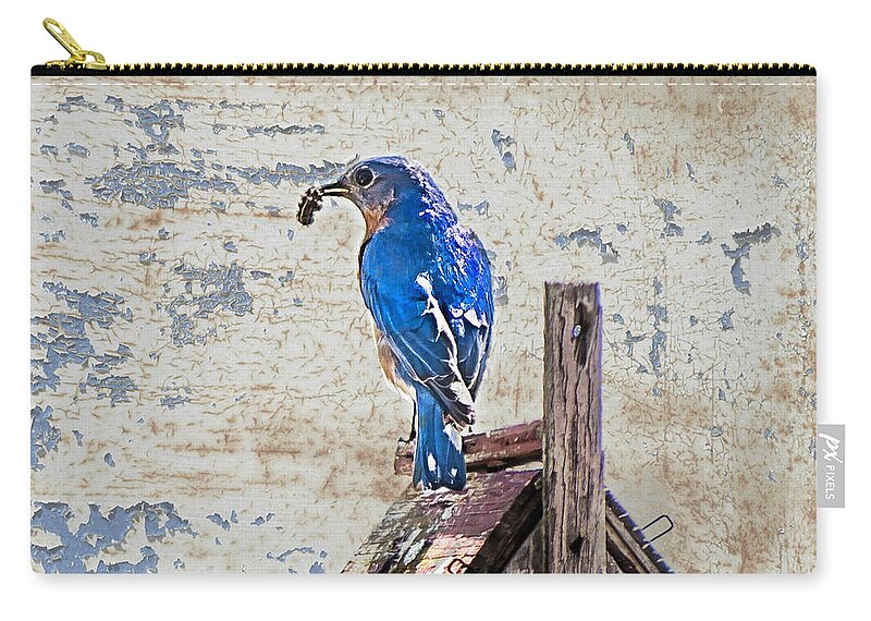 Bluebird Zip Pouch featuring the photograph Springtime in North Carolina, Brunch by Cynthia Wolfe