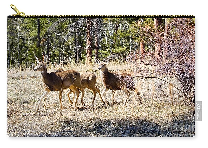 Deer Carry-all Pouch featuring the photograph Springtime Mule Deer in the Pike National Forest by Steven Krull