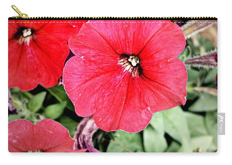 Flowers Zip Pouch featuring the photograph Sprung Spring by Ally White