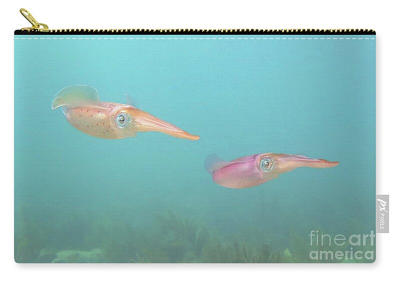 Underwater Zip Pouch featuring the photograph Squid by Daryl Duda