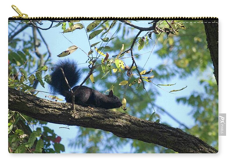 Squirrel Zip Pouch featuring the photograph Squirrel Adventure by Ee Photography