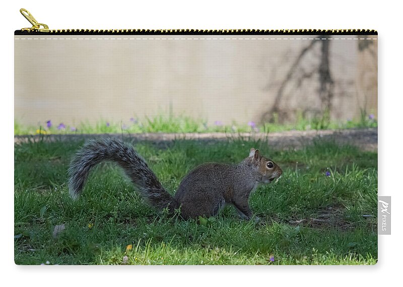 Squirrel Zip Pouch featuring the photograph Squirrel at a stand still by Holden The Moment