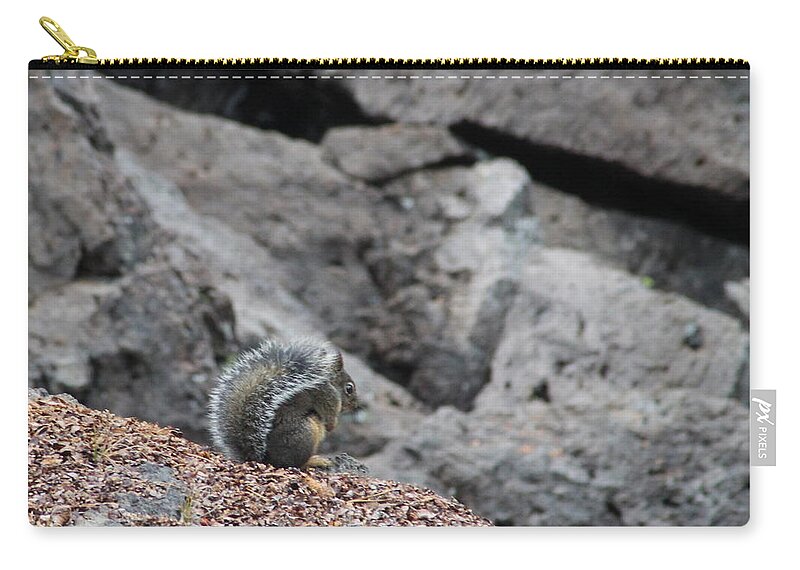 Squirrel Zip Pouch featuring the photograph Squirrel at Sparks Lake do not make me jump by Marie Neder