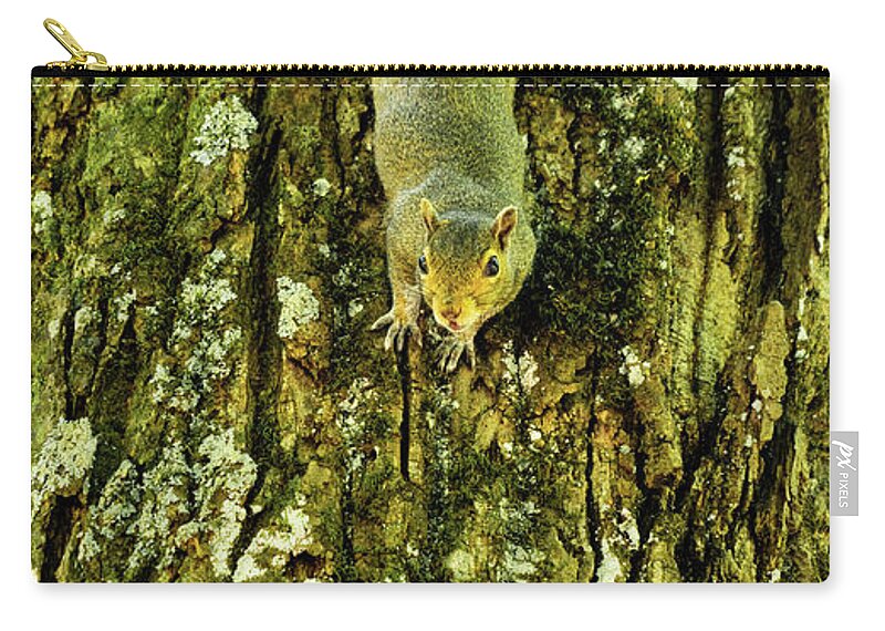 Georgia Zip Pouch featuring the photograph Squirrel Bark Georgia Mountains by Lawrence S Richardson Jr